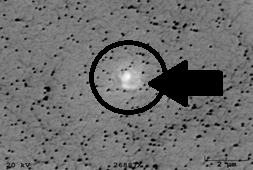 Agglomerated 12 nanometer Silica particles